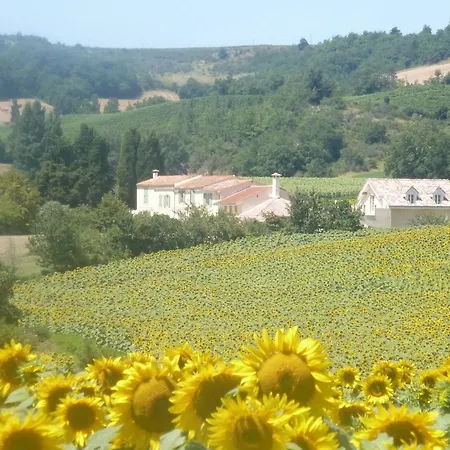 Charming Style Nestled In Stunning French Countryside Near Carcassonne And Mirepoix Hounoux